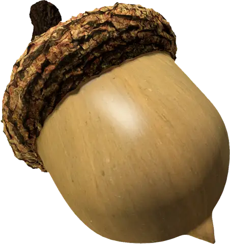 3D rendered acorn with a smooth tan body and a rough, bark-textured cap on a white background